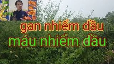 cây thuốc nam - cây bồ xít trị máu nhiểm mở - gan nhiểm mở - cây bồ xít - công dụng của cây bồ xít