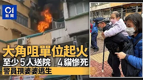 大角咀單位陷火海　消防升雲梯警孭老街坊　4貓燒死5人不適送院｜01新聞｜火災｜消防員｜貓｜大角咀 - 天天要聞