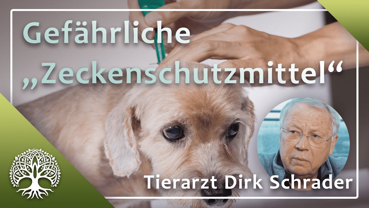 Tierärzte unter Druck | ARTE Re: