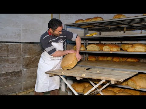 Video: Otlar Ile İtalyan Parmesan Ekmeği