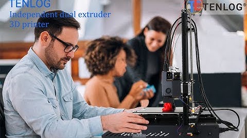TENLOG TL-D3 Pro Independent Dual Extruder 3D Printer, Upgrade BMG Extruder