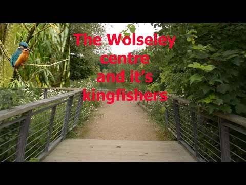 The Wolseley Centre and its Kingfishers