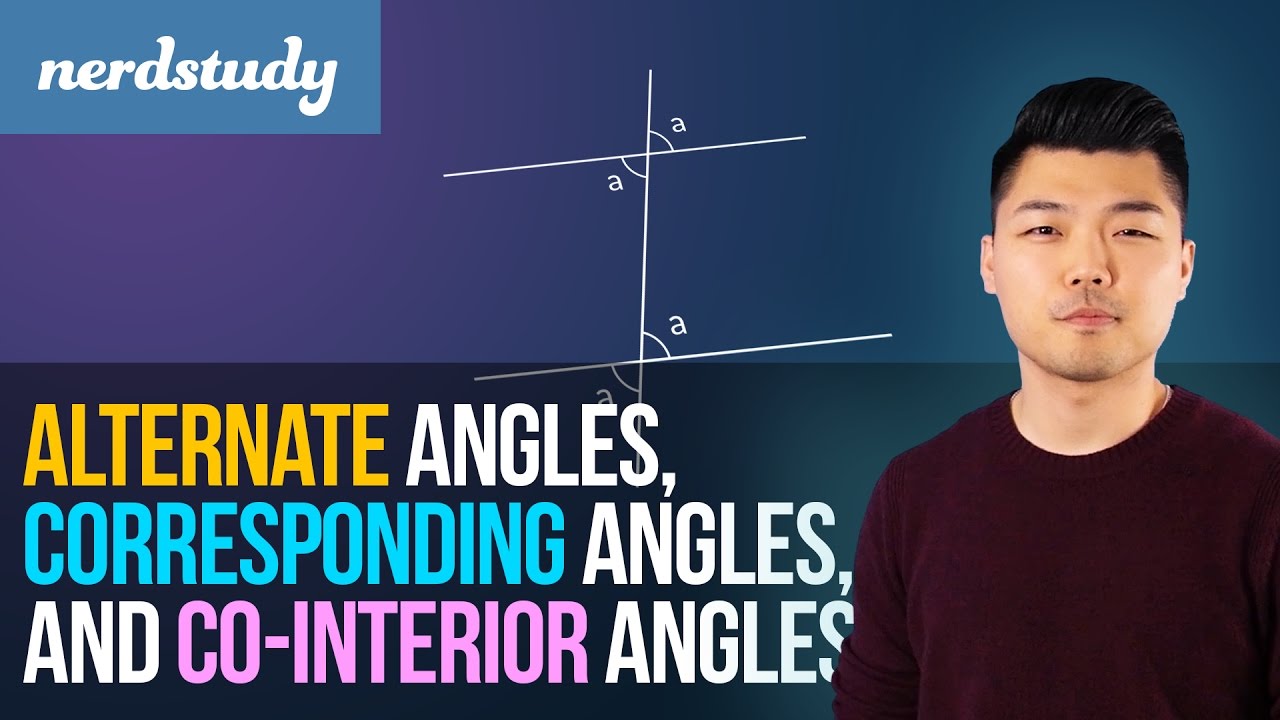 Alternate Angles Corresponding Angles Co Interior Angles Nerdstudy