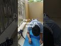 Day 7 Plank Challenge | 20 Seconds Hold 💪 | +1 Second Daily