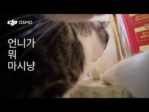 Osmo Nano | 언니가 뭐 마시냥? 😺