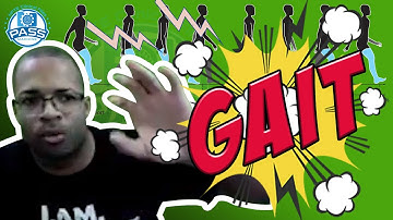 NPTE Practice Questions: Gait Dysfunction Part 1