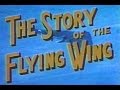 Vintage Classic Color Flying Wing Film