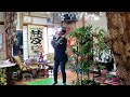 嘘だといって「嘘でしょあなたは私のものなのに...」三沢のようこ🎶