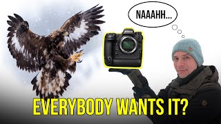 Real-Life Review: The NIKON Z9 for WILDLIFE PHOTOGRAPHY w/ Nikkor 400 F4.5S