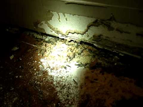 Damage to interior wall