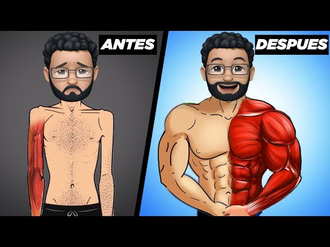 Video: Cómo Aumentar Rápidamente La Masa Muscular