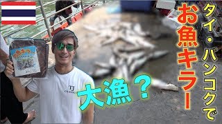 バンコクのドブ川でお魚キラー使っていたらナマズが大漁だったww