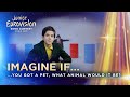 Imagine if... you got a pet, what animal would it be? - Junior Eurovision 2021