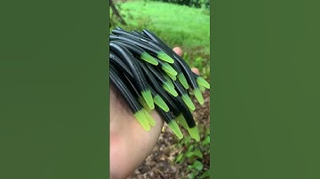 Custom fishing lures!!🔥 #baitmaking #godfirst #bassfishing #marrking #fishing #fish #luremaking ￼