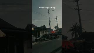 Mung wong cilik dayane ra sepiro  II lyrics Ilmu padi #storylagujowo #storywajowo #ilmupadi