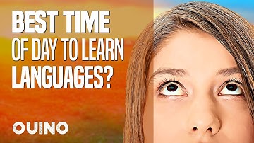 What Is the Best Time of Day to Learn a New Language? - OUINO.com