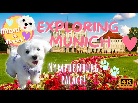 EXPLORING NYMPHENBURG PALACE ??? BAYERN MUNICH! ? ??  CUTE DOG ? SCHLOSS NYMPHENBURG