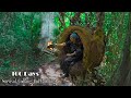 100 days survival challenge  survival alone in the rainforest  build a tree house