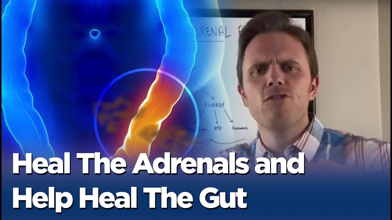 Leaky Gut and Adrenal Fatigue - Heal The Adrenals and Help Heal The Gut - YouTube
