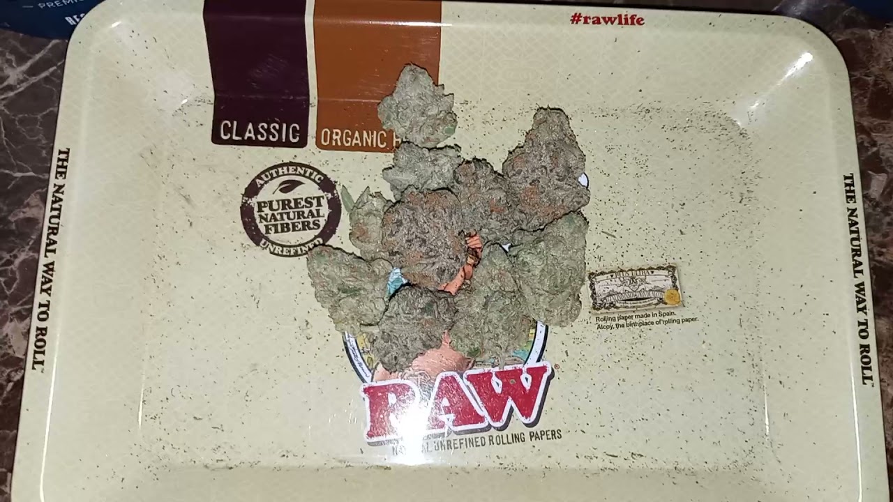 CRESCO LONDON POUND MINTS STRAIN