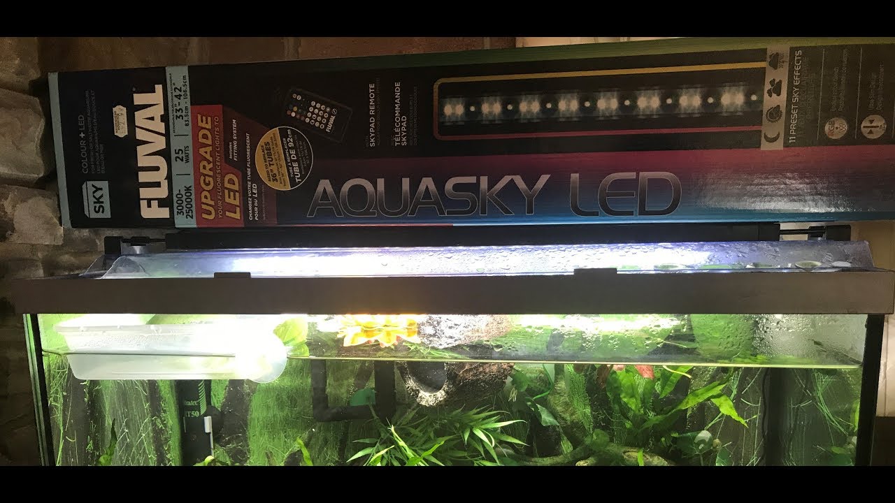Fluval aquasky led light review - YouTube