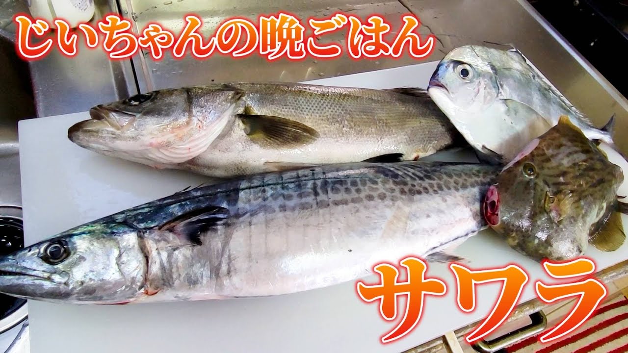 【ラインナップ最強】サワラ×カワハギ×イトヒキアジ×スズキの晩御飯
