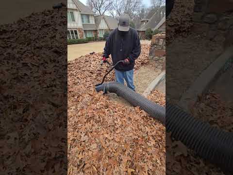 Professional Leaf Vacuum Service Near Me