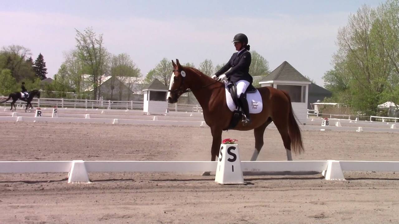 R de Lys et Lynda Tétreault reprise dressage niveau 1 test 2 Mai 22 ...