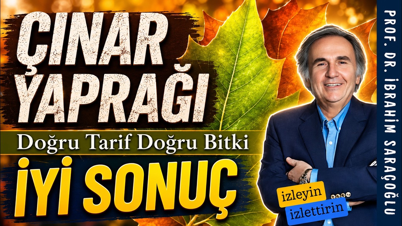 Çınar Yaprağı: Doğru Bitkiyi Tanıma ve Güvenli Kullanım