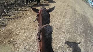 Punta Cana, DR (horseback riding &amp; zipline)