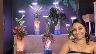 Exploring The Gift Guru In Orlando, Fl Plant Daddy Gro Hydroponic System Houseplants