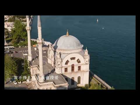 人质 张惠妹（动态歌词）flac无损音乐
