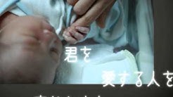 猪爪陸斗 Youtube 猪爪陸斗 Youtube