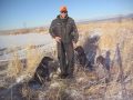 Colorado Pheasant Hunting - Christmas Gifts for the Hunting Dogs Colorado Pheasant Hunting - Christmas Gifts for the Hunting Dogs