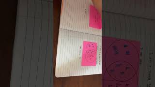 Interactive Notebook Check #1