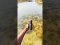 jbl flip 2 water drop