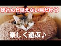 見えない事が当たり前なので上手に遊びます♪