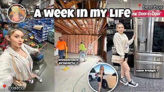 A week in my life | construction, family reunion, spaying my dogs