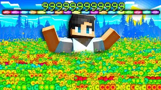 Minecraft, MUTTA XP On SUPER?!