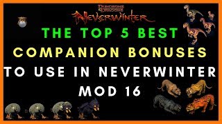 The Top 5 Companions To Use For Offense Defense & Utility In Neverwinter Mod 16