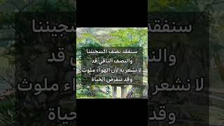 ماذا لو اختفت الأشجار من الأرض؟🌳*ماذا سيحدث؟ *#short #ماذا #shorts