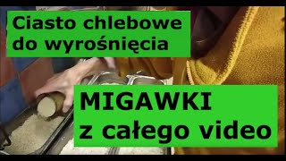 Ciasto chlebowe do wyrośnięcia MIGAWKI