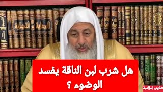 هل شرب لبن الناقة يفسد الوضوء؟ الشيخ مصطفى العدوي