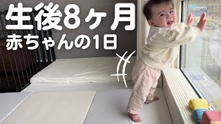 【生後8ヶ月】赤ちゃんの1日ってどんな感じ⁈つかまり立ち/おすわり/つたい歩き/後追い