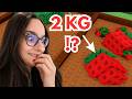 2KG ERDBEERE?! 😳🍓 ROBLOX GROW A GARDEN