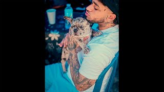 Bryant Myers x Darell Type Beat "La Presión" (Prod. by Mads Beats)