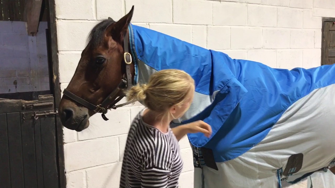 Falpro Dryback Fly Rug - YouTube