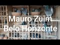 Mauro Zuim   columbofilo pigeon