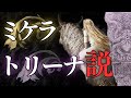 ミケラ=聖女トリーナ説を考察:今から考える『エルデンリング』考察【ELDEN RING】