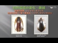 大分【ふるさと学講座】自然05「大分の陸生生物～昆虫編～」